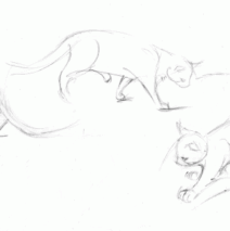 Cat sketches 1