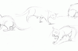 Cat sketches 1